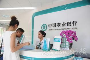 沿边金融改革助力西双版纳州对外经济贸易发展